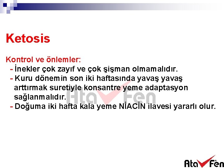 Ketosis Kontrol ve önlemler: - İnekler çok zayıf ve çok şişman olmamalıdır. - Kuru