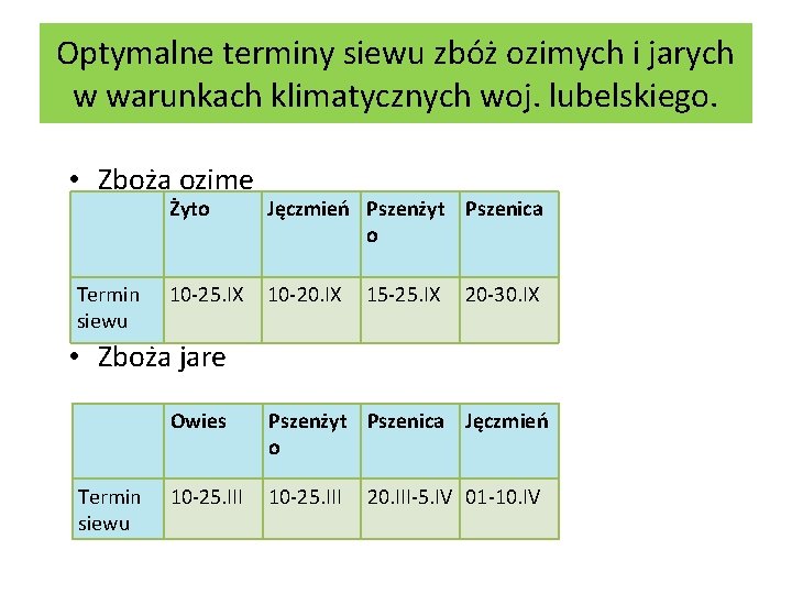 Optymalne terminy siewu zbóż ozimych i jarych w warunkach klimatycznych woj. lubelskiego. • Zboża