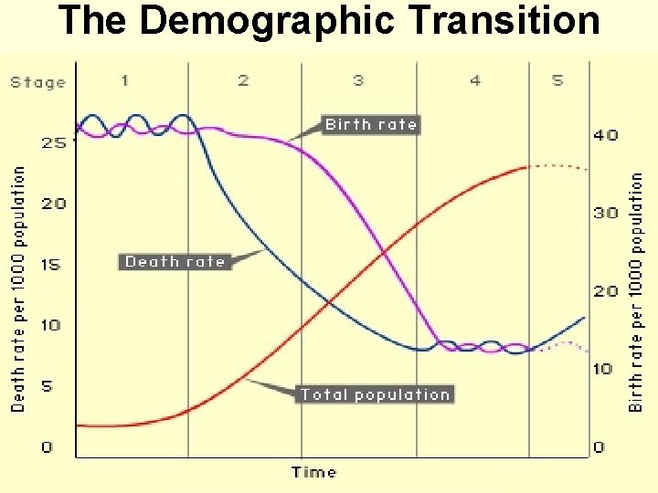 The Demographic Transition 