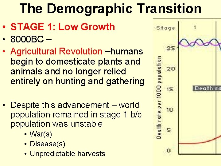 The Demographic Transition • STAGE 1: Low Growth • 8000 BC – • Agricultural