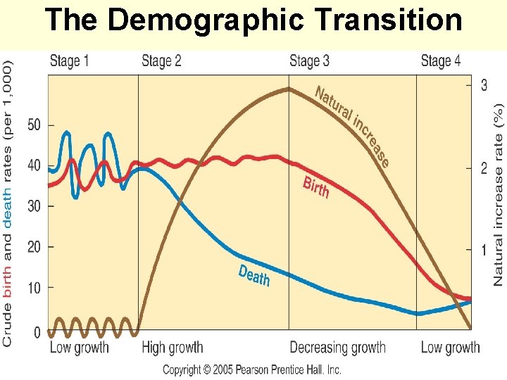 The Demographic Transition Fig. 2 -13: The demographic transition consists of four stages, which