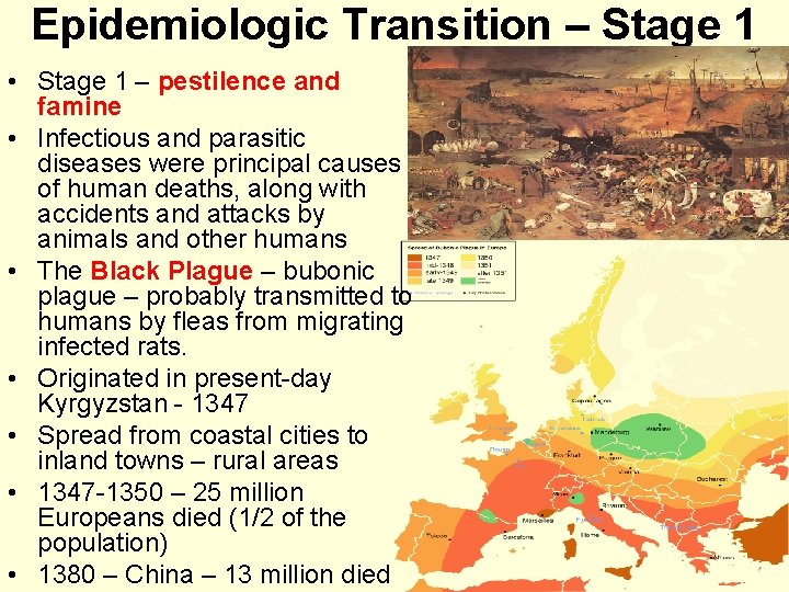 Epidemiologic Transition – Stage 1 • Stage 1 – pestilence and famine • Infectious