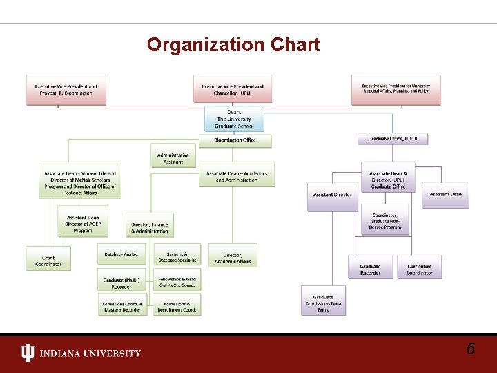 Organization Chart 6 