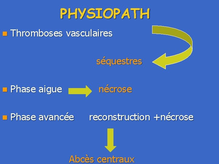 PHYSIOPATH Thromboses vasculaires séquestres n n Phase aigue nécrose n Phase avancée reconstruction +nécrose