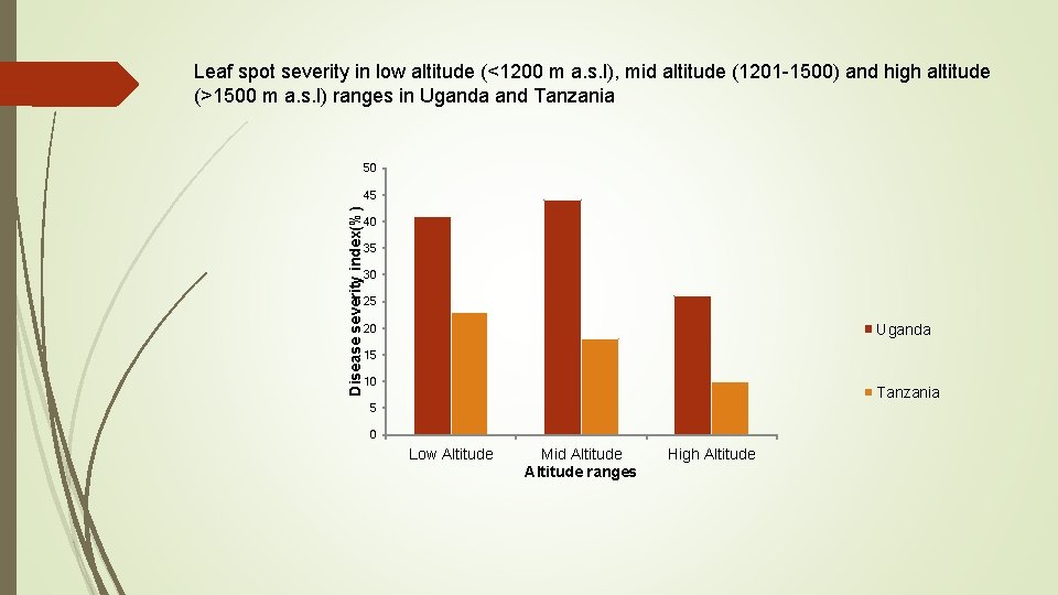 Leaf spot severity in low altitude (<1200 m a. s. l), mid altitude (1201