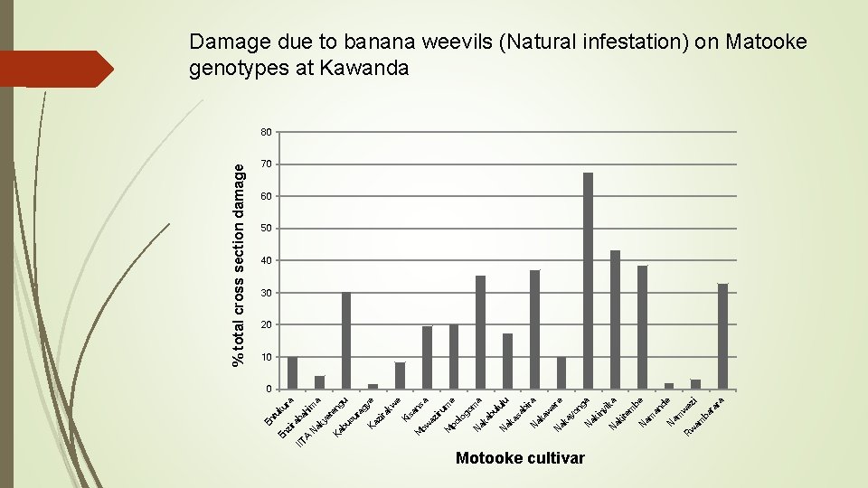 Motooke cultivar e w ez i am ba ra ra w R am N