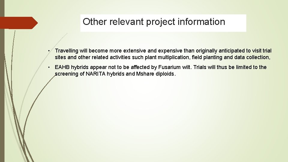 Other relevant project information • Travelling will become more extensive and expensive than originally