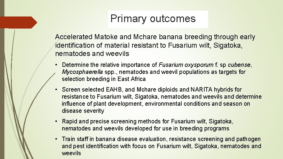 Primary outcomes Accelerated Matoke and Mchare banana breeding through early identification of material resistant