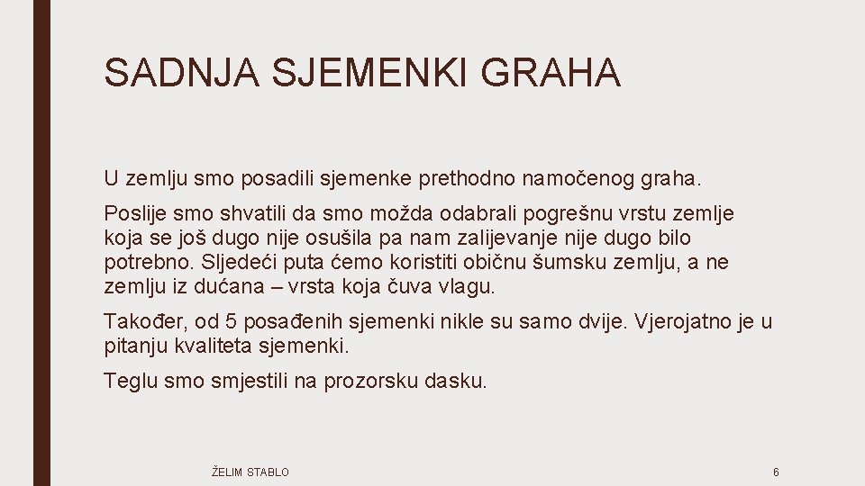 SADNJA SJEMENKI GRAHA U zemlju smo posadili sjemenke prethodno namočenog graha. Poslije smo shvatili