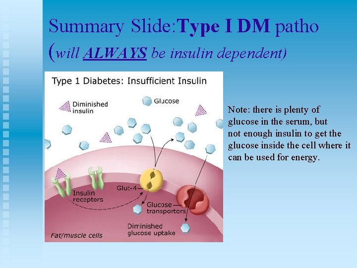 Summary Slide: Type I DM patho (will ALWAYS be insulin dependent) Note: there is