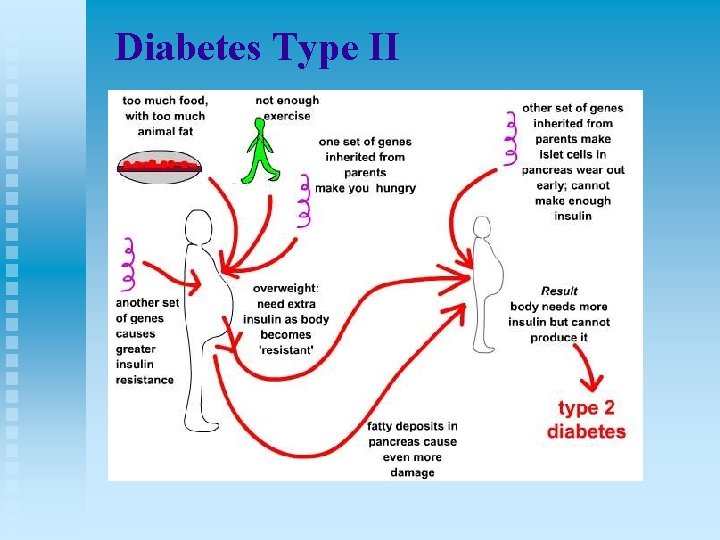 Diabetes Type II 
