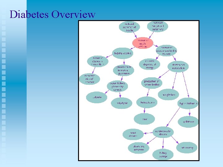 Diabetes Overview 