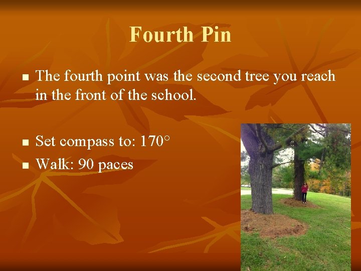 Fourth Pin n The fourth point was the second tree you reach in the