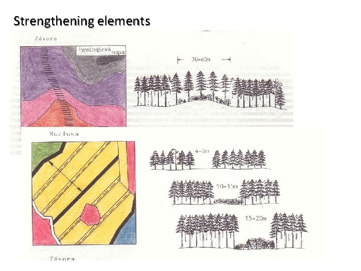 Strengthening elements 