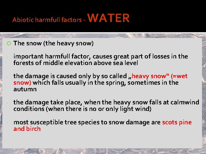 Abiotic harmfull factors - WATER The snow (the heavy snow) - important harmfull factor,