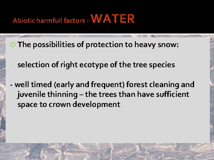 Abiotic harmfull factors - WATER The possibilities of protection to heavy snow: - selection