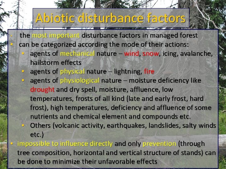 Abiotic disturbance factors the most important disturbance factors in managed forest • can be