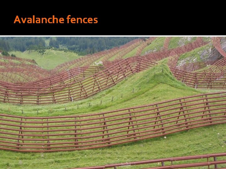 Avalanche fences 