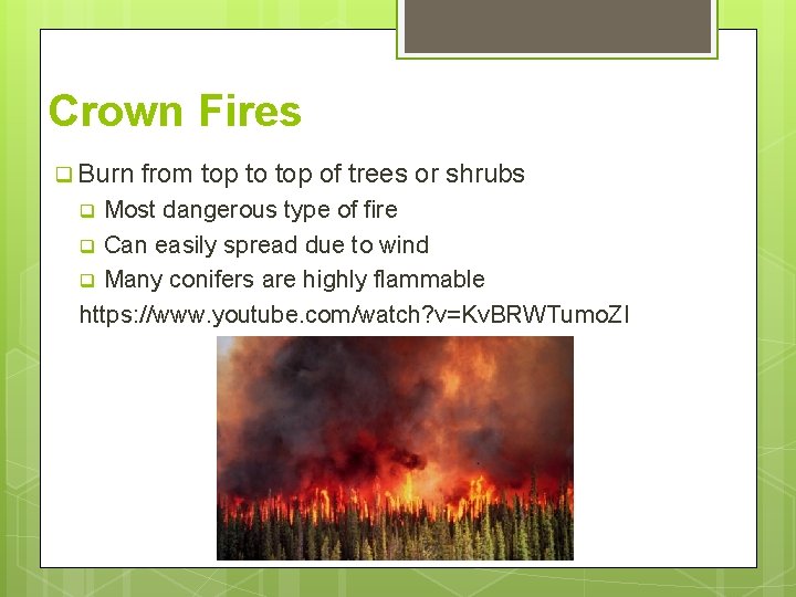 Crown Fires q Burn from top to top of trees or shrubs Most dangerous