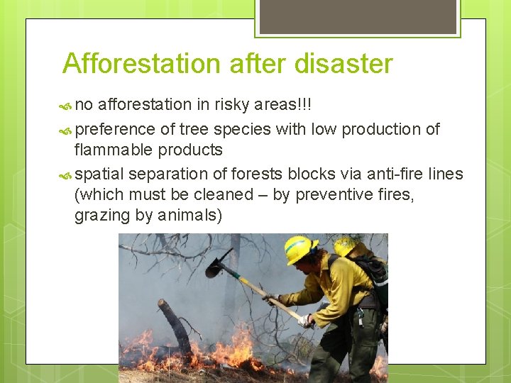 Afforestation after disaster no afforestation in risky areas!!! preference of tree species with low