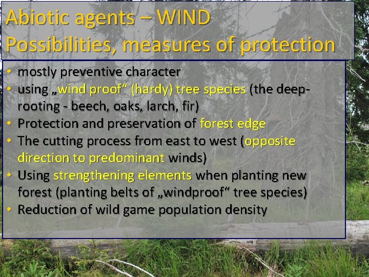 Abiotic agents – WIND Possibilities, measures of protection • mostly preventive character • using