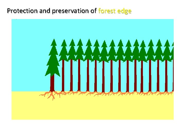 Protection and preservation of forest edge 