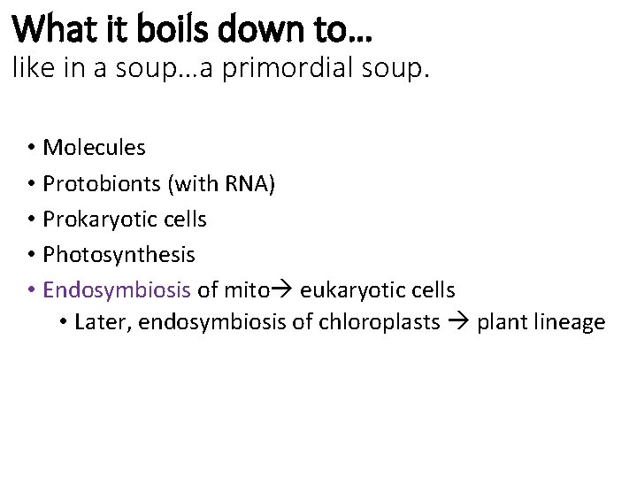 What it boils down to… like in a soup…a primordial soup. • Molecules •