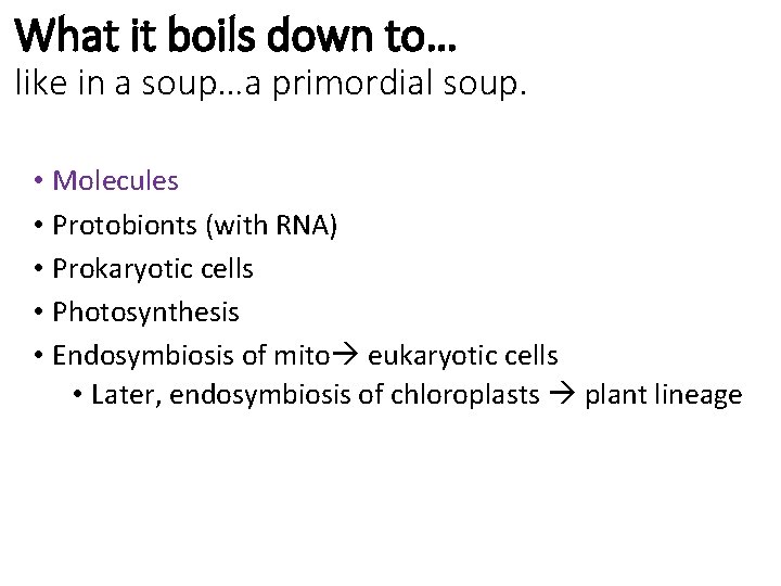 What it boils down to… like in a soup…a primordial soup. • Molecules •