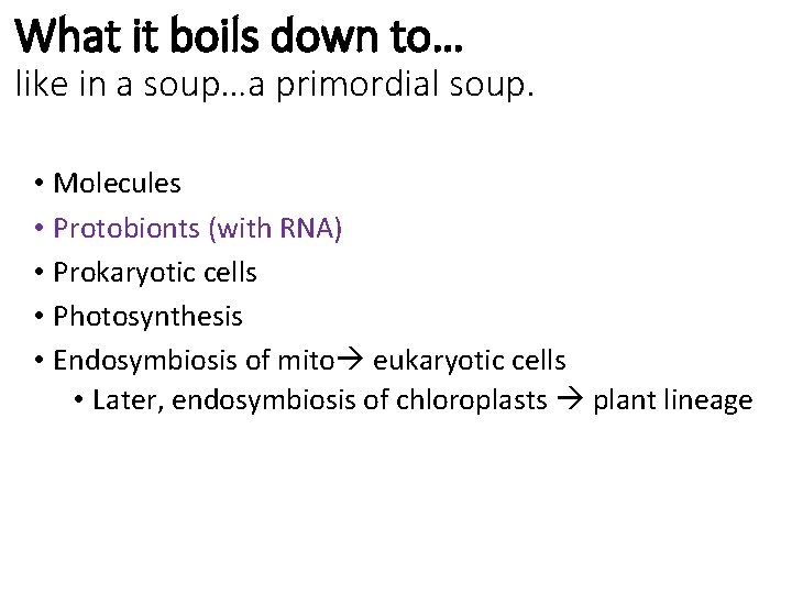 What it boils down to… like in a soup…a primordial soup. • Molecules •