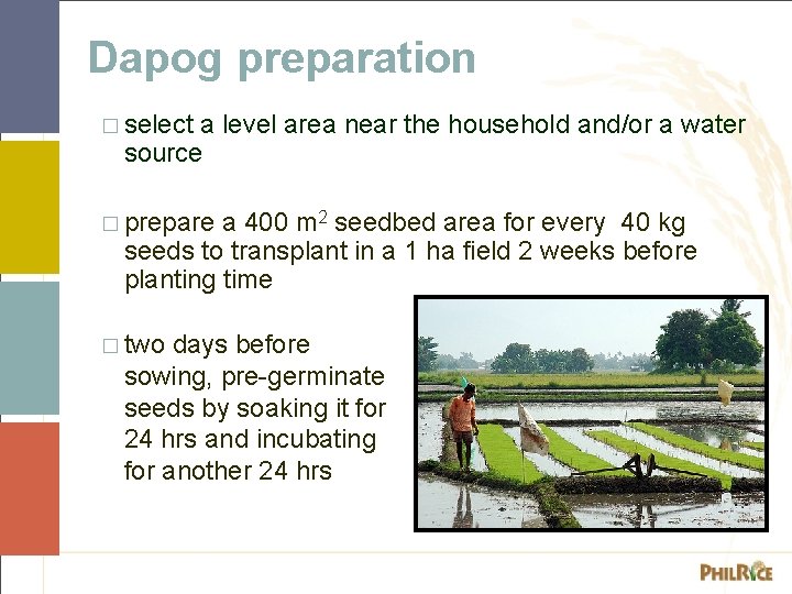 Dapog preparation � select a level area near the household and/or a water source