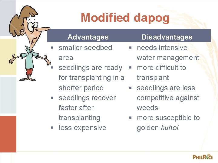 Modified dapog Advantages smaller seedbed area seedlings are ready for transplanting in a shorter