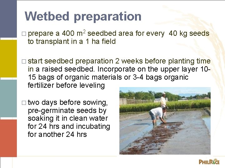 Wetbed preparation � prepare a 400 m 2 seedbed area for every 40 kg