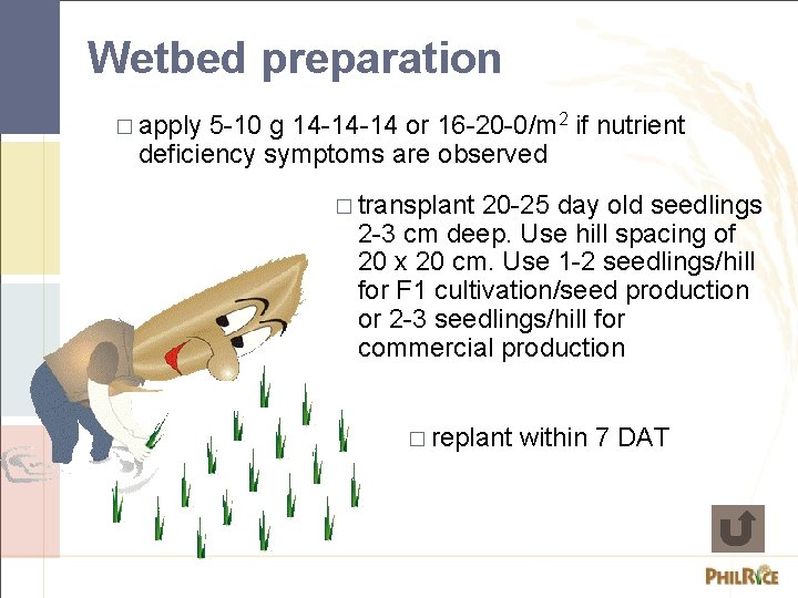 Wetbed preparation � apply 5 -10 g 14 -14 -14 or 16 -20 -0/m