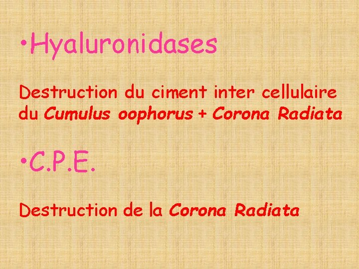  • Hyaluronidases Destruction du ciment inter cellulaire du Cumulus oophorus + Corona Radiata