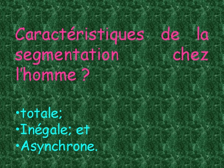 Caractéristiques de la segmentation chez l’homme ? • totale; • Inégale; et • Asynchrone.