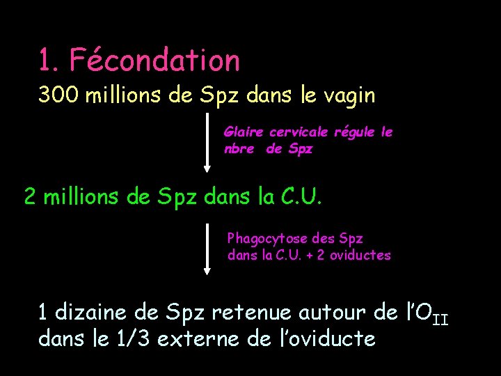 1. Fécondation 300 millions de Spz dans le vagin Glaire cervicale régule le nbre