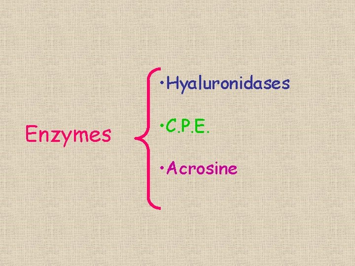  • Hyaluronidases Enzymes • C. P. E. • Acrosine 