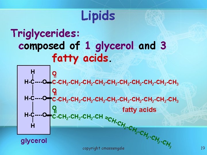Lipids Triglycerides: composed of 1 glycerol and 3 fatty acids H = O H-C----O
