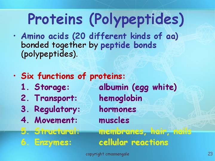 Proteins (Polypeptides) • Amino acids (20 different kinds of aa) bonded together by peptide