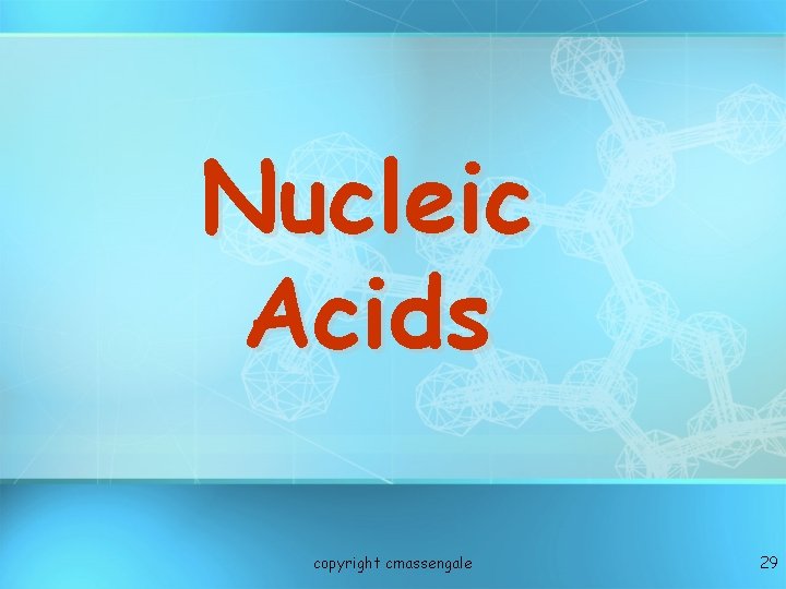 Nucleic Acids copyright cmassengale 29 