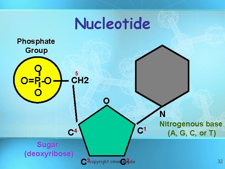 Nucleotide Phosphate Group O O=P-O O 5 CH 2 O N C 1 C