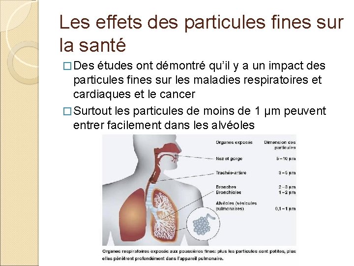 Les effets des particules fines sur la santé � Des études ont démontré qu’il