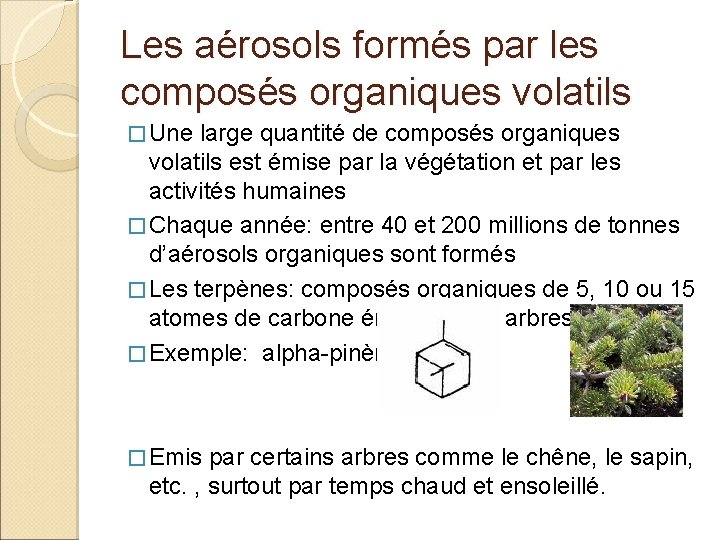 Les aérosols formés par les composés organiques volatils � Une large quantité de composés