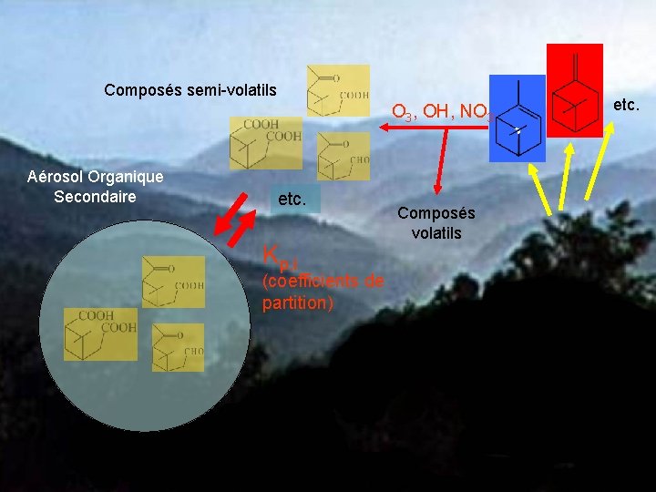 Composés semi-volatils O 3, OH, NO 3 Aérosol Organique Secondaire etc. Kp, i (coefficients