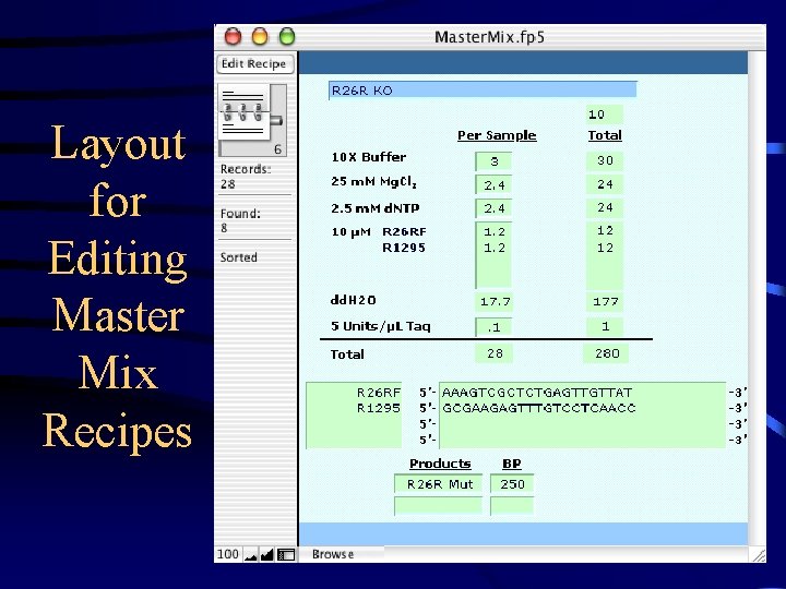 Layout for Editing Master Mix Recipes 