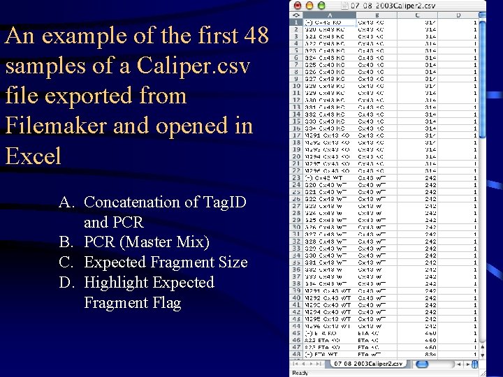 An example of the first 48 samples of a Caliper. csv file exported from