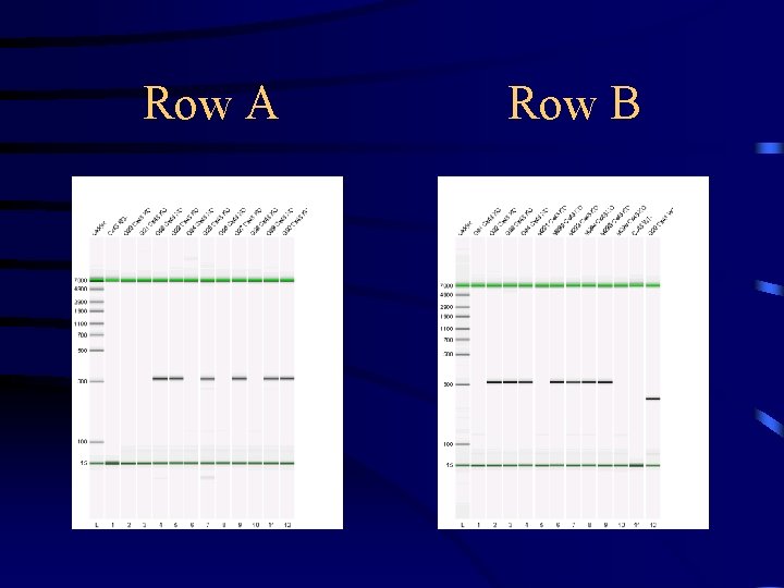 Row A Row B 