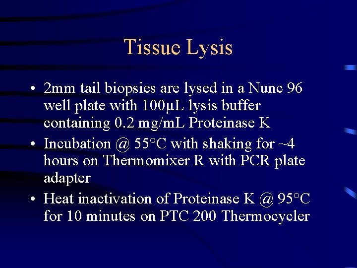 Tissue Lysis • 2 mm tail biopsies are lysed in a Nunc 96 well