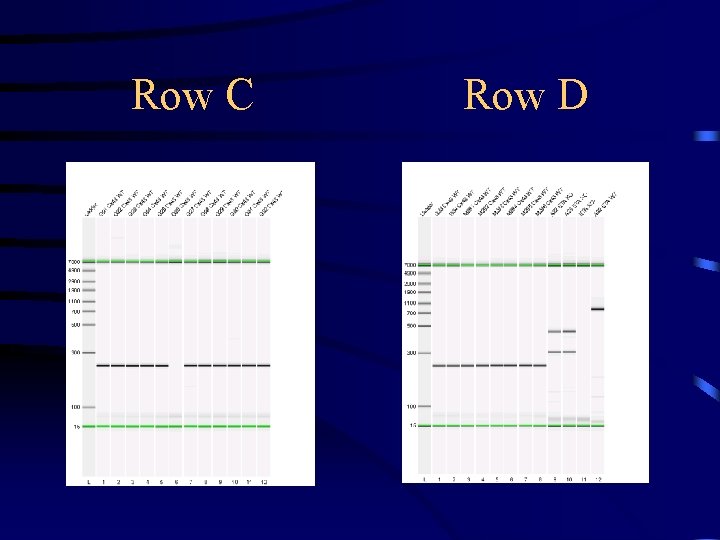 Row C Row D 