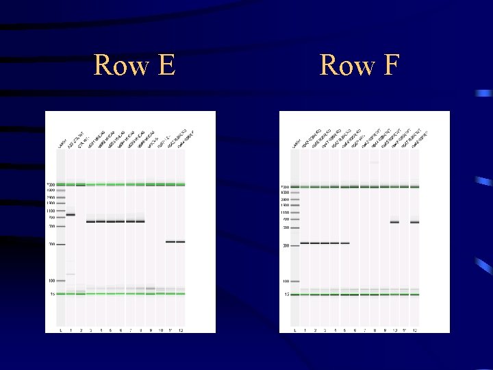 Row E Row F 